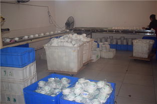 內(nèi)江市東興區(qū)力凈消毒餐具配送中心 專業(yè)消毒，優(yōu)質(zhì)服務(wù)，守護(hù)健康